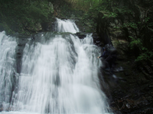 p0031.jpg