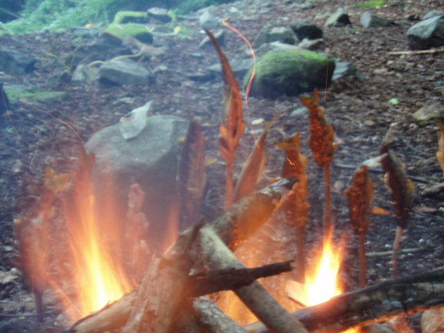 p0038.jpg