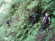 p0011.jpg