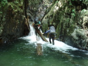 p0014.jpg