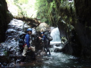 p0017.jpg