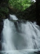 p0030.jpg