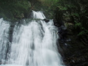 p0031.jpg