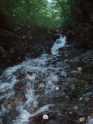 p0040.jpg