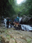 p0041.jpg