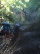 p0049.jpg