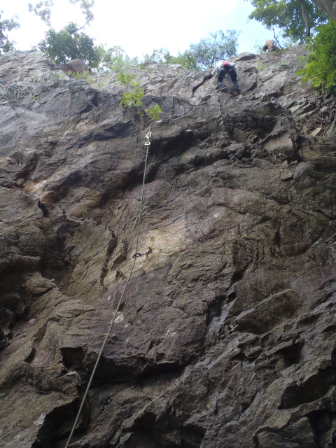 p0003.jpg