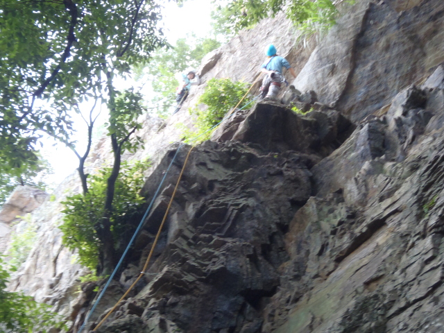 p0005.jpg