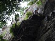 p0006.jpg