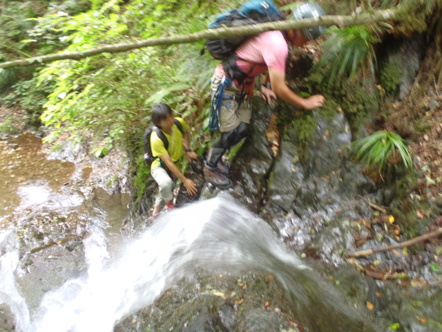 p0006.jpg