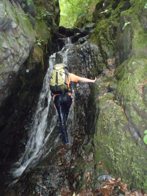 p0026.jpg