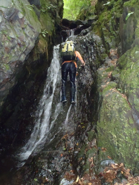 p0027.jpg