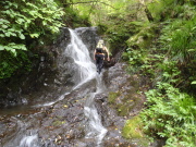 p0003.jpg