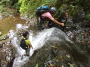 p0005.jpg