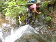 p0006.jpg