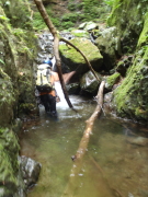 p0007.jpg