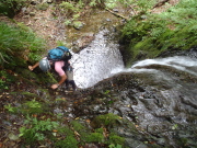 p0008.jpg