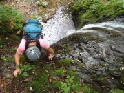 p0009.jpg