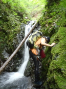 p0010.jpg