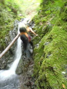 p0011.jpg