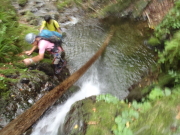 p0012.jpg