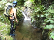 p0013.jpg