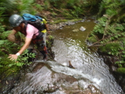 p0014.jpg