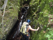p0017.jpg