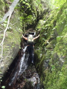 p0018.jpg