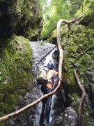 p0019.jpg