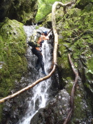 p0020.jpg