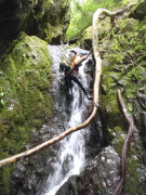 p0021.jpg