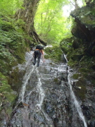 p0031.jpg