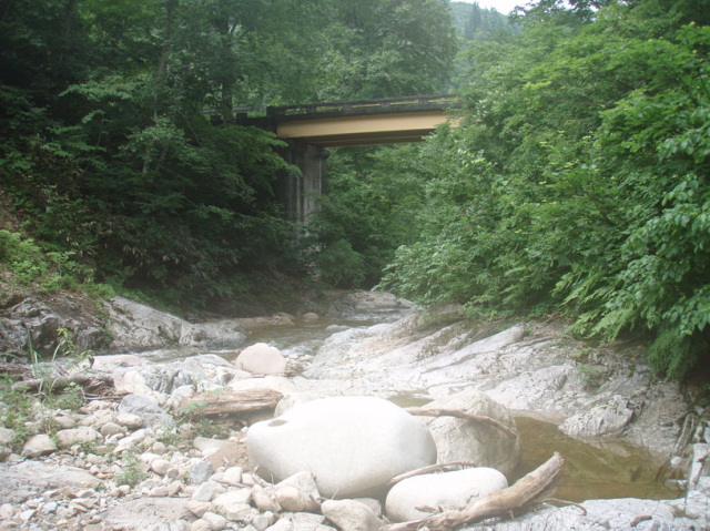 p0055.jpg