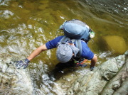 p0004.jpg