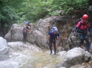 p0007.jpg