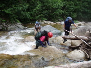 p0008.jpg