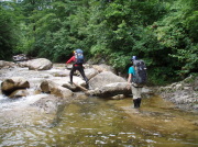 p0009.jpg