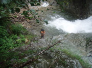 p0040.jpg