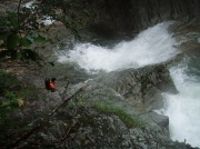 p0041.jpg