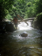 p0048.jpg