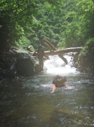 p0049.jpg