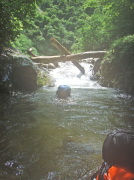 p0050.jpg