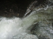 p0051.jpg