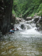 p0054.jpg