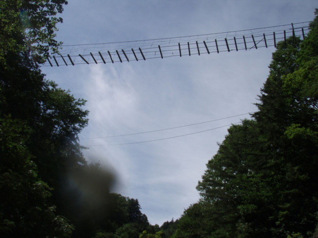 p0036.jpg
