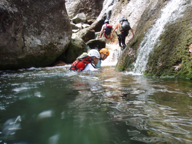 p0042.jpg