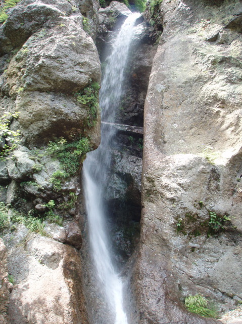p0057.jpg