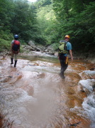 p0005.jpg