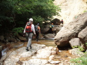 p0043.jpg
